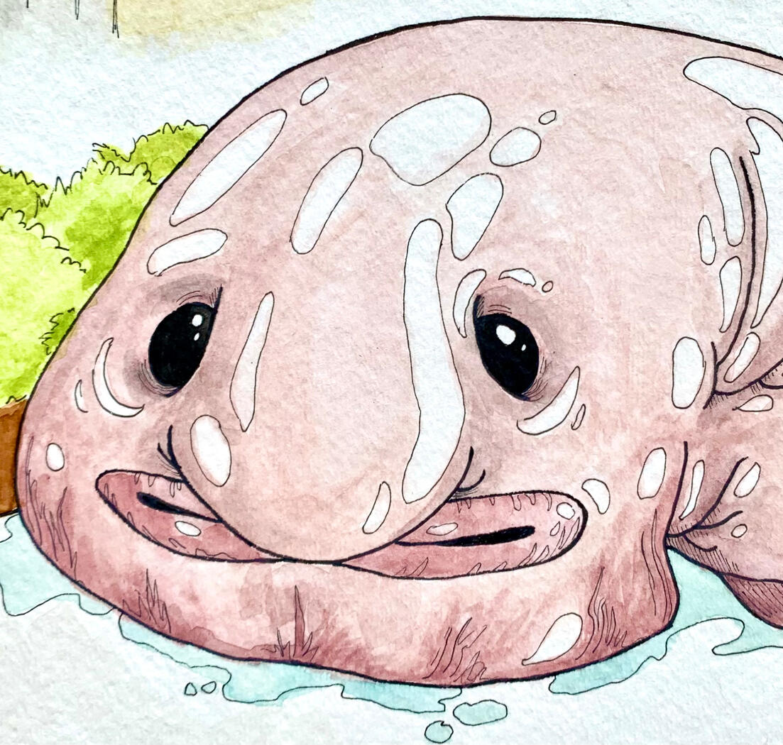 Blobfish details: Watercolor Commission