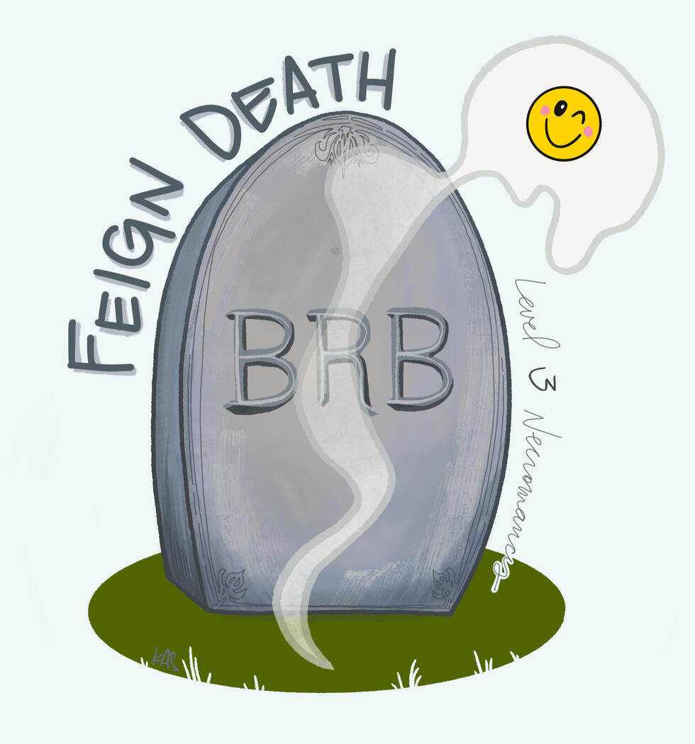 Feign Death: 3rd Level Necromancy